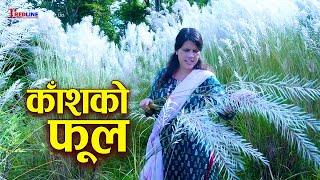 काँशको फूल (Kansh Ko Phool) || Kansh's flower || काँशको फूलको पुतली || New Video 2024/2081