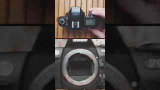 The Sound of a Nikon F65