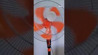 Fan Dancing 48 - Funny Video #ceilingfan #kipasangin #india #shorts