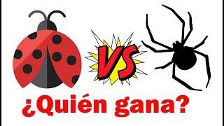 Ladybug VS Spider-Man / Batalla de rap - Yessi tu amiga