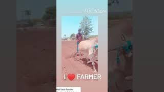 farmer ‍