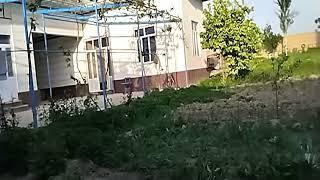 Qashqir Tv 's Broadcast