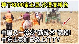 種下8000畝土豆，沙漠變糧倉？中國重磅宣布又一“治沙神器”！中東土豪們已經上門了？