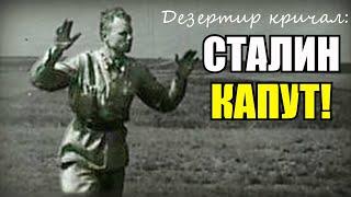 «Сталин— КАПУТ! Плен! Плен!»- кричал дезертир немцам, но немного перепутал... Рассказ  офицера