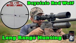 Daystate Red Wolf Safari The Long Range King | Air Gun Pest Control