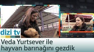 Veda Yurtsever ile hayvan barınağını gezdik - Dizi Tv 583. Bölüm