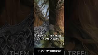 ODIN and his brothers created LIFE in MIDGARD #odin #norsemythology #norsegods #midgard #shorts