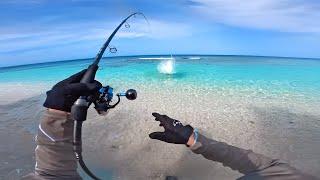 Fishing in Paradise - Tropical Beach Catch and Cook!