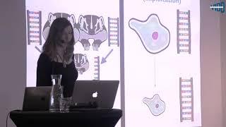 Dr Helen Taylor på "Dyslexia and Creativity" i Stockholm