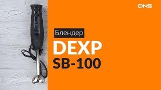 Распаковка блендера DEXP SB-100  / Unboxing DEXP SB-100