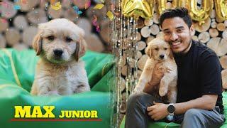 Story of our new Puppy | MAX Junior ️