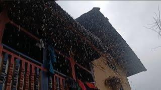 This is Nepapli himalayan village life ll Real Nepali village life ll Daliy Activies in village life