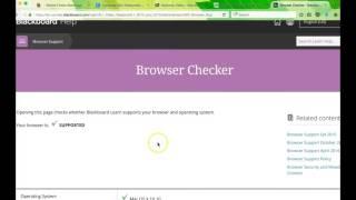 Browser Check