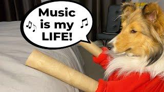 "MUSIC is my LIFE!"  Biscuit the talking dog NEVER wants to go to BED!  e095