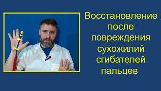 Восстановление после повреждения сухожилий сгибателей пальцев