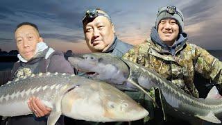 Non-Stop Sturgeon Action | Grizzly Bay/Delta #Kalkal#Kalkalboots#sturgeon#striper#delta