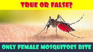 True OR False Quiz