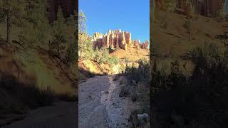 Mossy Cave Trail Bryce Canyon National Park #utah #nationalpark