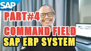 COMMAND FIELD SAP ERP SYSTEM | SINAU SAP