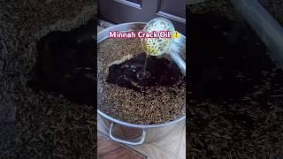 Minnah Crack Hair Growth Oil #haircare #diy #hairgrowth #hairoil