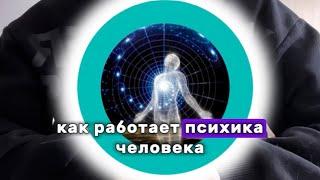 ЛИШНИЙ ВЕС, о чем это? Часть 1. #психолог #нутрициолог #бездиет #похудение