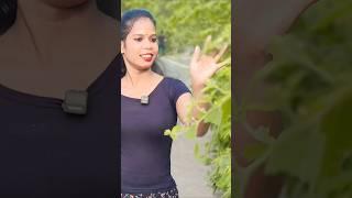 Tor jeans badi mast #nagpuridjremix  #nagpurisong  #trendingshorts  #travel
