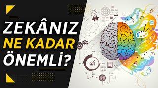 IQ ve Zekâ Hakkında Bilmeniz Gerekenler