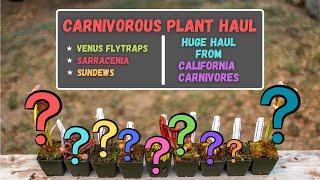 HUGE Carnivorous Plant Unboxing - Which Venus Flytraps, Pitcher Plants & Sundews Did I Score?