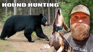 Epic Bear Hunt with HOUNDS in New Hampshire!! (4 Bears in One Day)