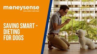MoneySense - Saving Smart - Dieting For Dogs