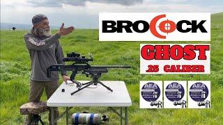 BROCOCK GHOST HP .25 CAL @ FOX AIR POWER - OUTDOOR TARGET SHOOTING DAY W/AEA CENTER PUNCH AMMO