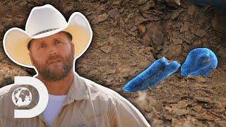 Dinosaur Hunters Find Rare Duck-Billed Dinosaur Skeleton | Dino Hunters