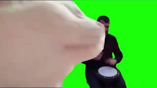 Cat vibing to levan Polkka green screen