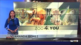 Zoo 4 You: What's going on with the tapirs at Reid Park Zoo?