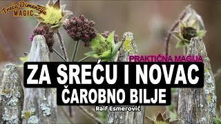 ČAROBNO BILJE ZA SREĆU I NOVAC