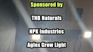 Intents Growing New Grow Tent Intro using TNB Naturals products in the indoor garden #tnbnaturals