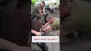  Такого вы еще не видели! Воины доят козу!