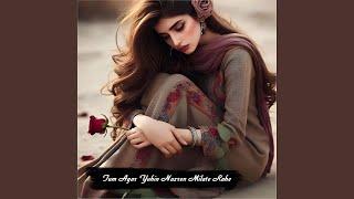 Tum Agar Yuhin Nazren Milate Rahe
