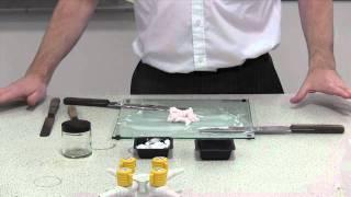 Extemporaneous preparation of a cream