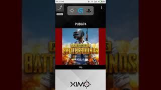 XIM APEX PUBG settings