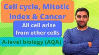 Cell cycle, Mitotic Index & Cancer - A-level Biology