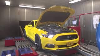 15 Mustang on Dyno Dynamics