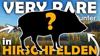 One of the CRAZIEST RARES in HIRSCHFELDEN!!! - Call of the Wild