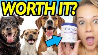 The Truth About Trying Petlab CO’s Viral Probiotic Chews For Dogs