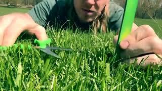 ASMR Mother Nature Spa Treatment (massage, haircut, outside, sleep)