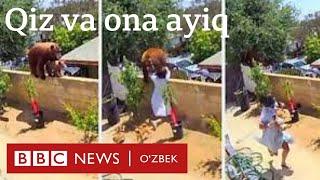 17 яшар қиз улкан айиқни қандай енгди? BBC News O'zbek