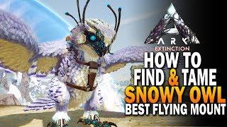 Where To Find  & How To Tame Snowy Owls & Snowy Owl Breeding! Best Mount - Ark Extinction DLC