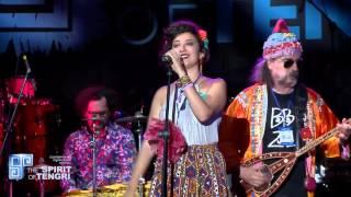 The Spirit of Tengri 2015 - Baba Zula (LIVE)