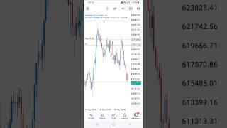 The Best Forex Trading Strategy for Beginners