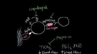 Antiplatelet drugs & Thrombus Inhibitors